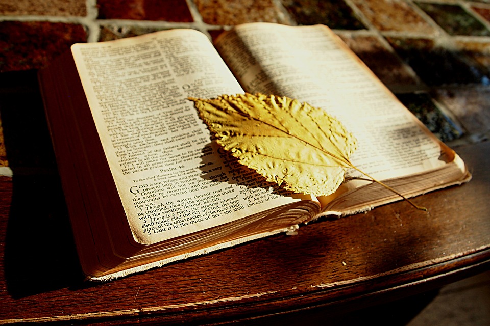 A Palavra Que é Alimento - Um estudo gospel sobre vida cristã